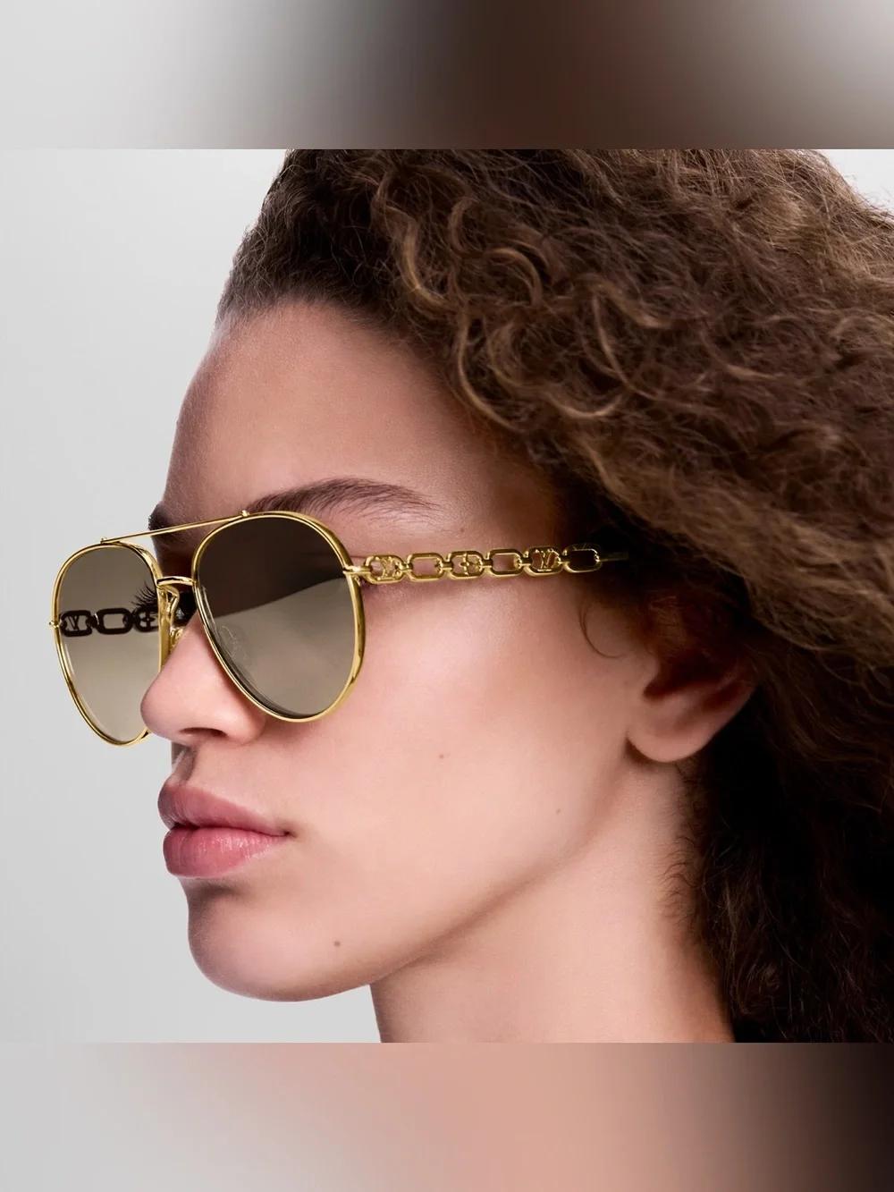 Louis Vuitton classic louis
